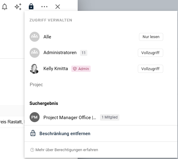 Dialog Zugriff verwalten mit der Projektrolle Project Manager Office als Zugriffsoption