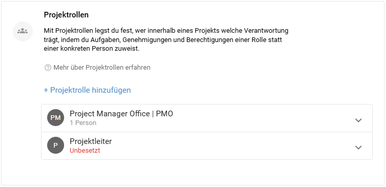 Aufgeklappte Projektrolle Project Manager Office mit zugewiesener Person und Stellvertretung